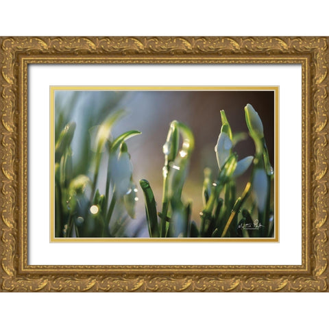 Snowdrops II Gold Ornate Wood Framed Art Print with Double Matting by Podt, Martin