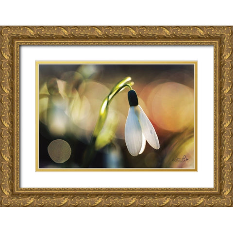 Snowdrops III Gold Ornate Wood Framed Art Print with Double Matting by Podt, Martin