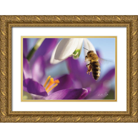 Bee I Gold Ornate Wood Framed Art Print with Double Matting by Podt, Martin