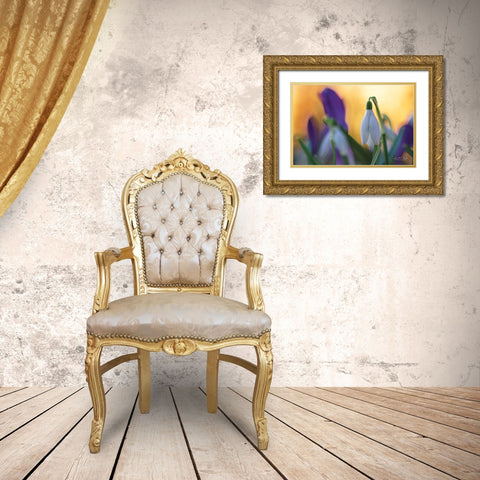 Snowdrop at Sunset Gold Ornate Wood Framed Art Print with Double Matting by Podt, Martin
