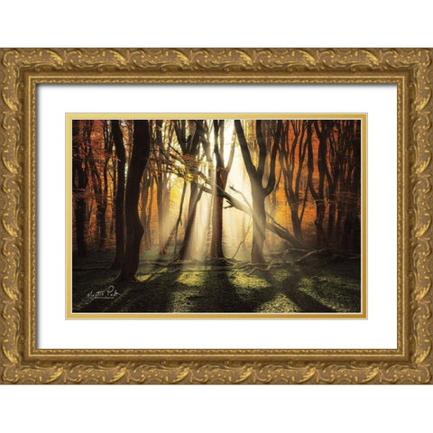 The Awakening Gold Ornate Wood Framed Art Print with Double Matting by Podt, Martin
