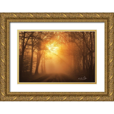 Misty Sunrise Gold Ornate Wood Framed Art Print with Double Matting by Podt, Martin
