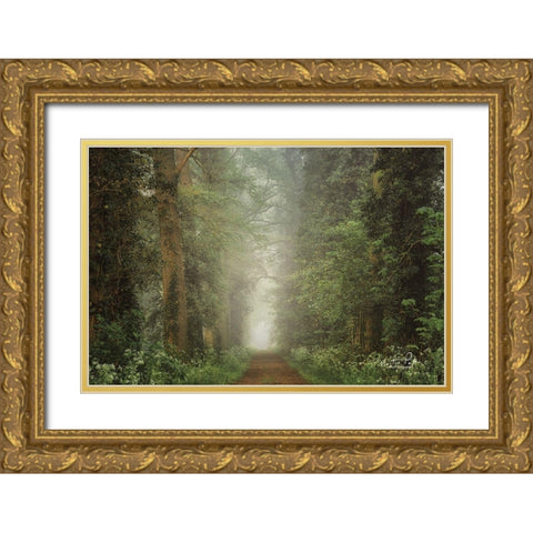 Misty Spring Road Gold Ornate Wood Framed Art Print with Double Matting by Podt, Martin