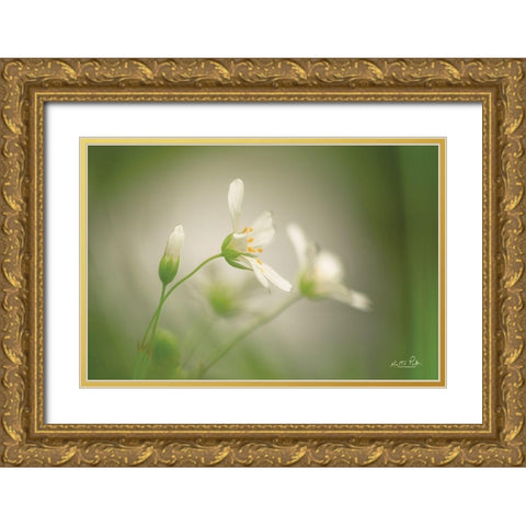 Stellaria Gold Ornate Wood Framed Art Print with Double Matting by Podt, Martin