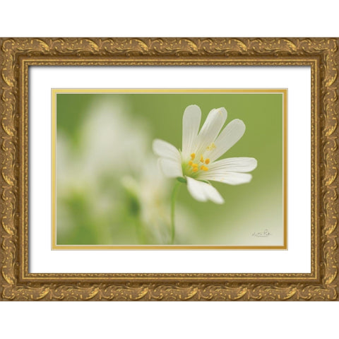 Stellaria Holostea Gold Ornate Wood Framed Art Print with Double Matting by Podt, Martin