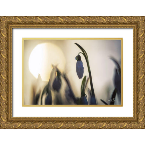 Backlit Snowdrop Gold Ornate Wood Framed Art Print with Double Matting by Podt, Martin