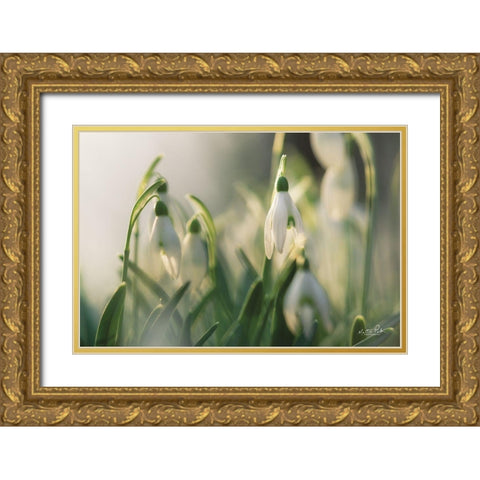 Snowdrops Gold Ornate Wood Framed Art Print with Double Matting by Podt, Martin