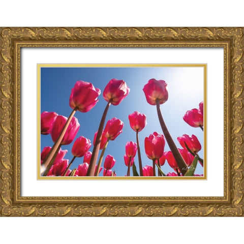 Look Up in Pink Gold Ornate Wood Framed Art Print with Double Matting by Podt, Martin