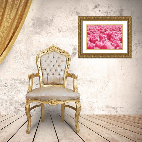 Pink Field Gold Ornate Wood Framed Art Print with Double Matting by Podt, Martin