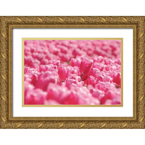 Pink Field Gold Ornate Wood Framed Art Print with Double Matting by Podt, Martin