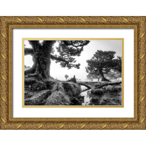 Black and White Fanal Gold Ornate Wood Framed Art Print with Double Matting by Podt, Martin