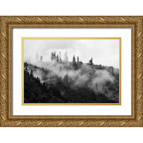 Covered by Clouds Gold Ornate Wood Framed Art Print with Double Matting by Podt, Martin