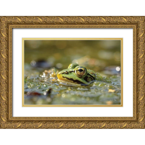Frog Gold Ornate Wood Framed Art Print with Double Matting by Podt, Martin