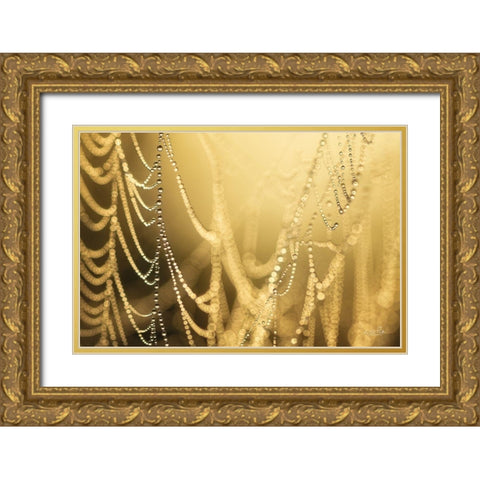 Natures Jewels II Gold Ornate Wood Framed Art Print with Double Matting by Podt, Martin
