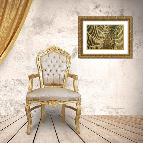 The Spider and Her Jewels Gold Ornate Wood Framed Art Print with Double Matting by Podt, Martin