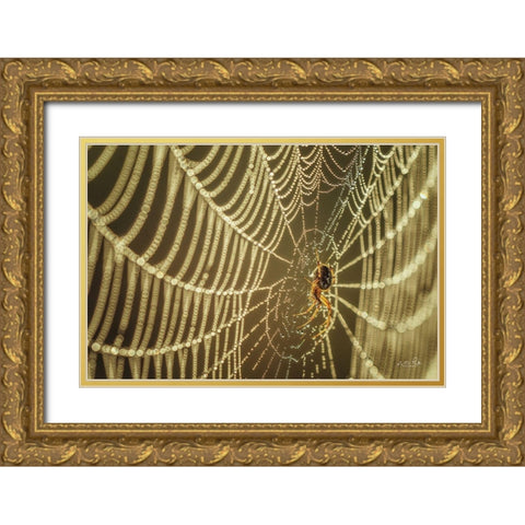 The Spider and Her Jewels Gold Ornate Wood Framed Art Print with Double Matting by Podt, Martin