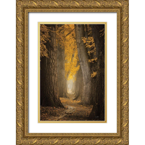 Autumn Path Gold Ornate Wood Framed Art Print with Double Matting by Podt, Martin