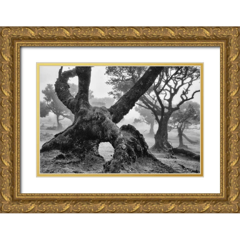 The Elephant Gold Ornate Wood Framed Art Print with Double Matting by Podt, Martin