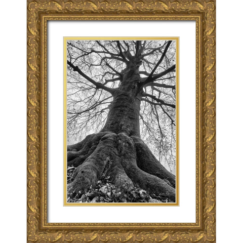 The Giant I Gold Ornate Wood Framed Art Print with Double Matting by Podt, Martin