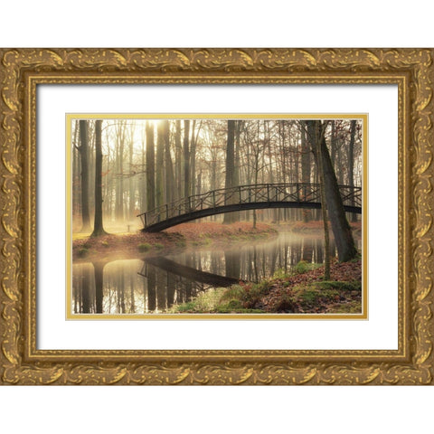 Bridge Over Troubled Waters Gold Ornate Wood Framed Art Print with Double Matting by Podt, Martin