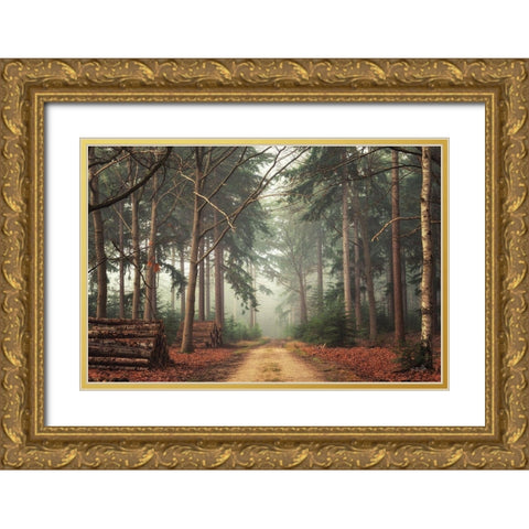 Harvesting Time Gold Ornate Wood Framed Art Print with Double Matting by Podt, Martin