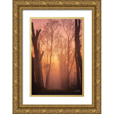 Mysterious Mood Gold Ornate Wood Framed Art Print with Double Matting by Podt, Martin