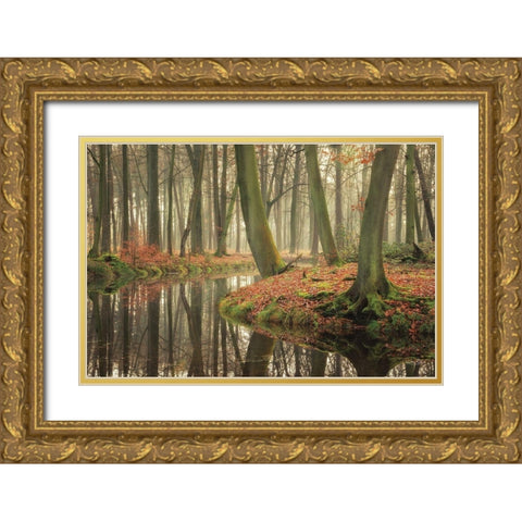 Rising Hope Gold Ornate Wood Framed Art Print with Double Matting by Podt, Martin