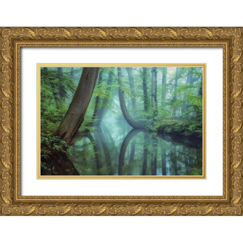 Moody Reflections Gold Ornate Wood Framed Art Print with Double Matting by Podt, Martin