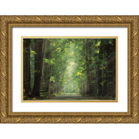 Bright Lights Gold Ornate Wood Framed Art Print with Double Matting by Podt, Martin