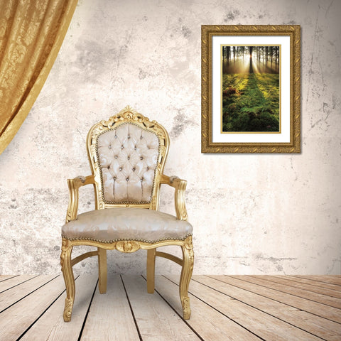 Ferns in the Morning Light Gold Ornate Wood Framed Art Print with Double Matting by Podt, Martin