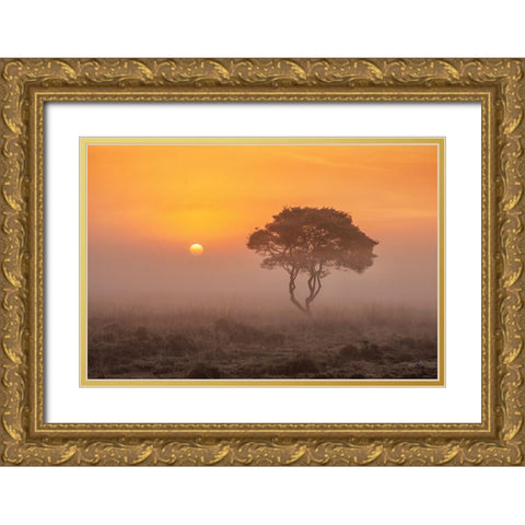 Enjoy the Silence I Gold Ornate Wood Framed Art Print with Double Matting by Podt, Martin