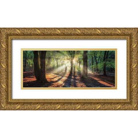 Sun Rays in the Forest I Gold Ornate Wood Framed Art Print with Double Matting by Podt, Martin