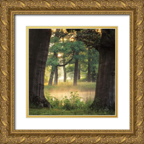 Tree Frame Gold Ornate Wood Framed Art Print with Double Matting by Podt, Martin