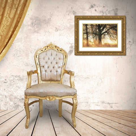 Backlight Gold Ornate Wood Framed Art Print with Double Matting by Podt, Martin