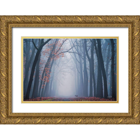 Oh Deer! Gold Ornate Wood Framed Art Print with Double Matting by Podt, Martin