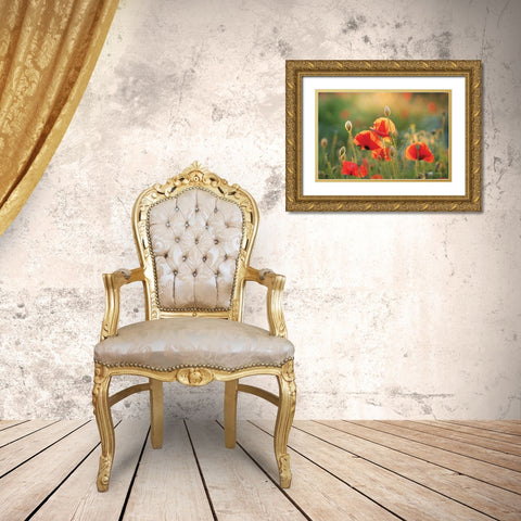 Poppy Field III Gold Ornate Wood Framed Art Print with Double Matting by Podt, Martin