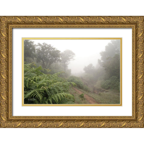 Fern Path Gold Ornate Wood Framed Art Print with Double Matting by Podt, Martin