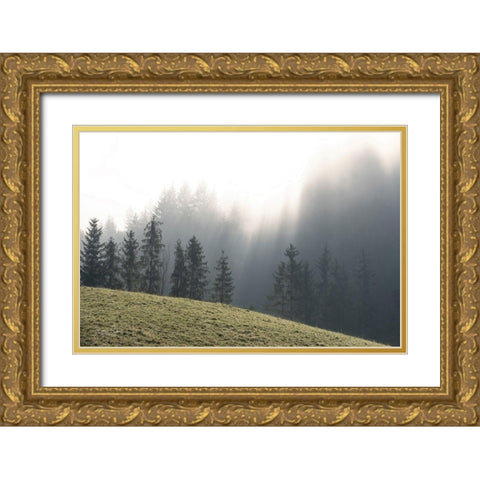 Mountain Glory Gold Ornate Wood Framed Art Print with Double Matting by Podt, Martin