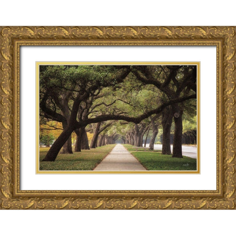 Alley of Live Oaks Gold Ornate Wood Framed Art Print with Double Matting by Podt, Martin