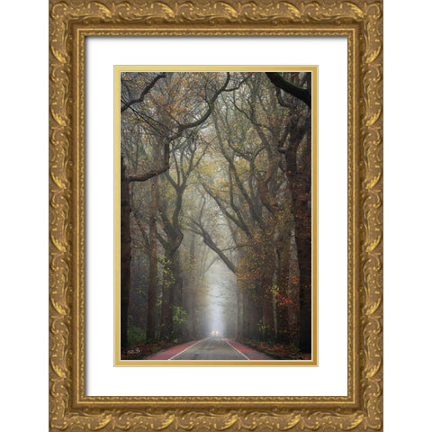 Tiny Car    Gold Ornate Wood Framed Art Print with Double Matting by Podt, Martin