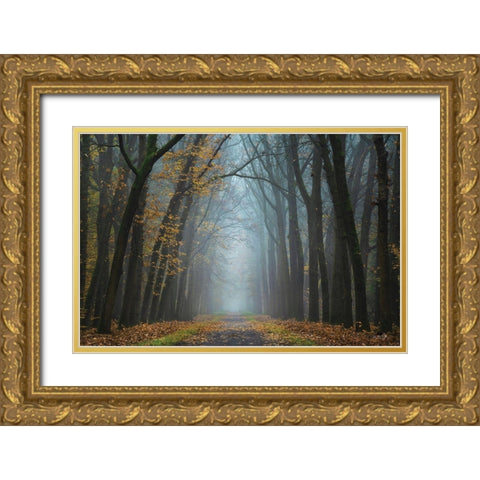 Moody Autumn   Gold Ornate Wood Framed Art Print with Double Matting by Podt, Martin