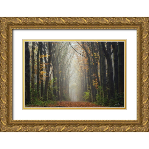The Unknown Road    Gold Ornate Wood Framed Art Print with Double Matting by Podt, Martin