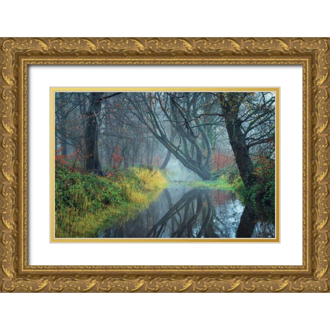 The Creek    Gold Ornate Wood Framed Art Print with Double Matting by Podt, Martin