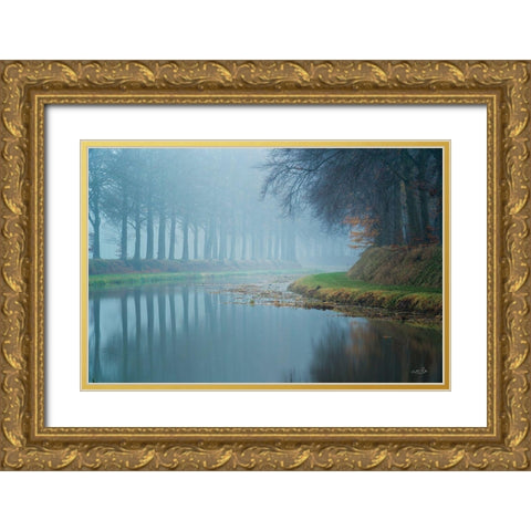 Foggy Reflections    Gold Ornate Wood Framed Art Print with Double Matting by Podt, Martin