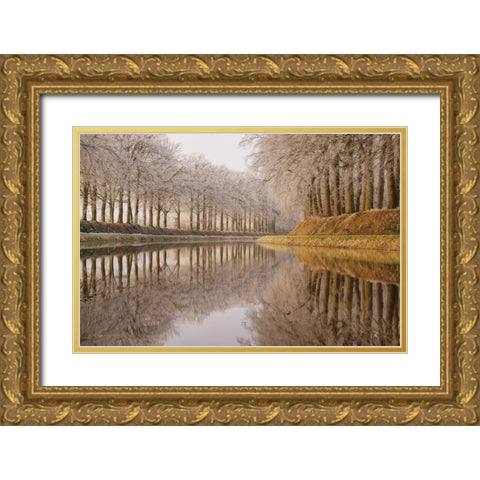 Frosty Reflections Gold Ornate Wood Framed Art Print with Double Matting by Podt, Martin