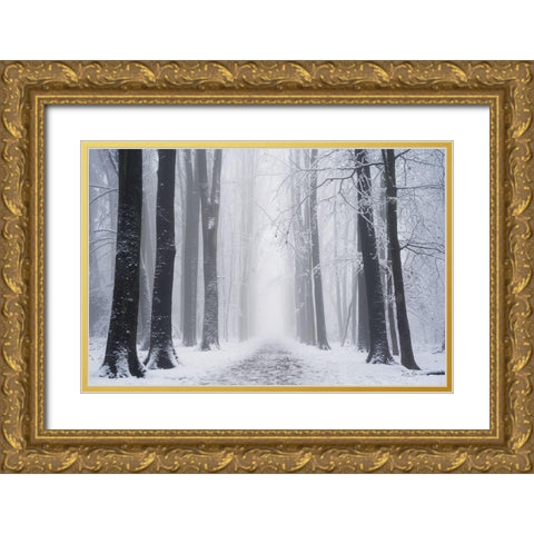 Whiteout  Gold Ornate Wood Framed Art Print with Double Matting by Podt, Martin