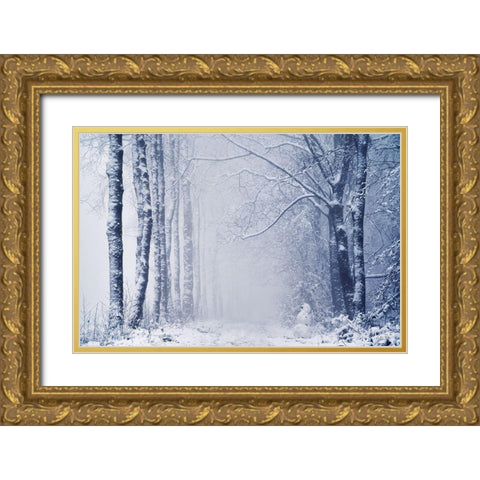 Alone in the World Gold Ornate Wood Framed Art Print with Double Matting by Podt, Martin