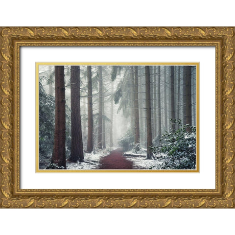 Red Carpet Gold Ornate Wood Framed Art Print with Double Matting by Podt, Martin