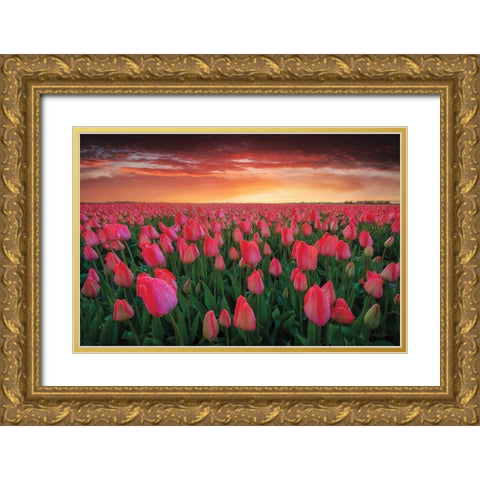 Tulip Field Sunset Gold Ornate Wood Framed Art Print with Double Matting by Podt, Martin