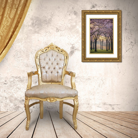 Cherry Trees at Sunrise Gold Ornate Wood Framed Art Print with Double Matting by Podt, Martin